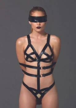 LA-KI4017, Wet Look Teddy