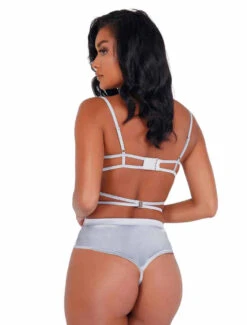 Roma LI405, Embroidered Lace And Satin Crotchless Teddy -Roma Shop LI405 Slvr Back 85312.1618595728